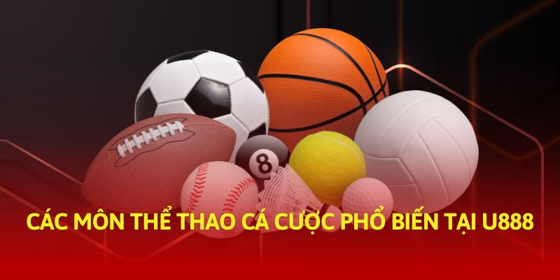 Các môn thể thao cá cược phổ biến tại U888